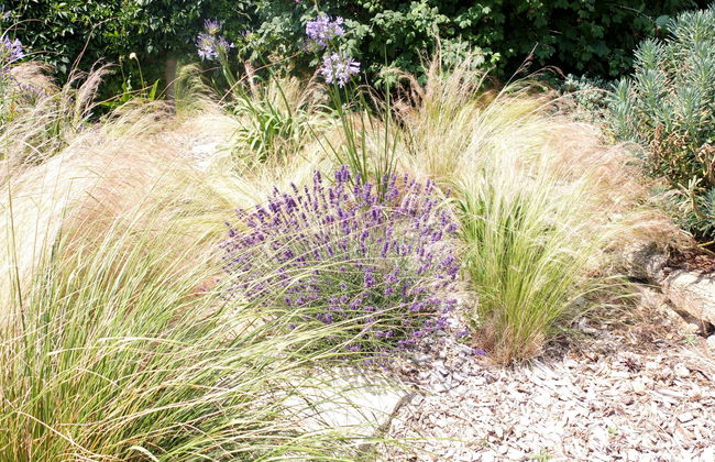 Balade Océane - Foto 26