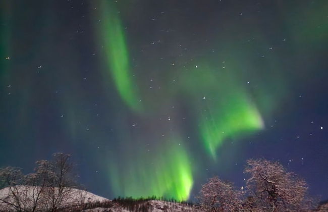 Elvestua House in Nature - Foto 38