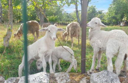 Cozy studio with mountain view - 20 m² - Águeda - Foto 49