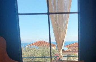 The bee's house 2 - Foto 12