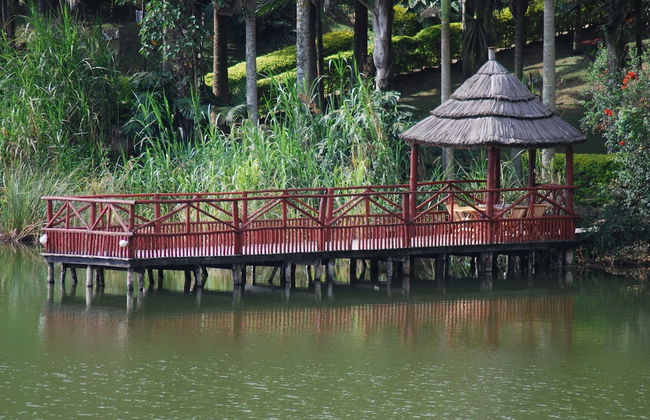 Crater Bay Cottages - Photo 78