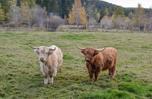 Tanar View - Photo 22