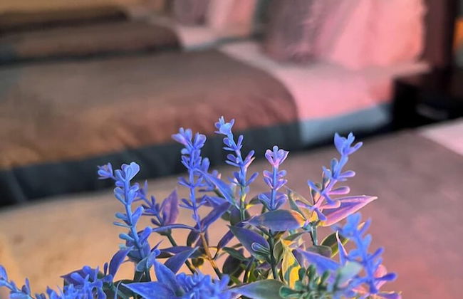 Luxury Holiday Apartments - Foto 3