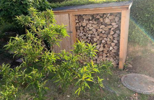 4- Sterne Ferienwohnung Dr Eisenbart - Foto 42