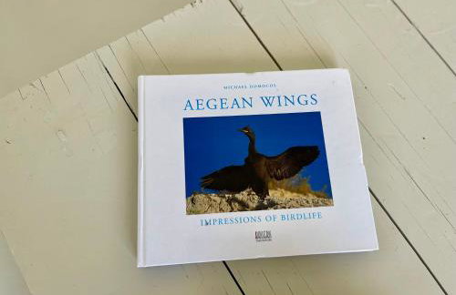 AEGEAN WINGS MAISONETTE - Photo 20