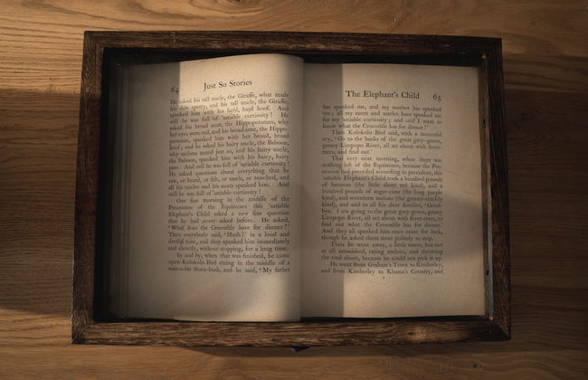 Kolokolo Safari Home – Mashatu Game Reserve - Foto 25