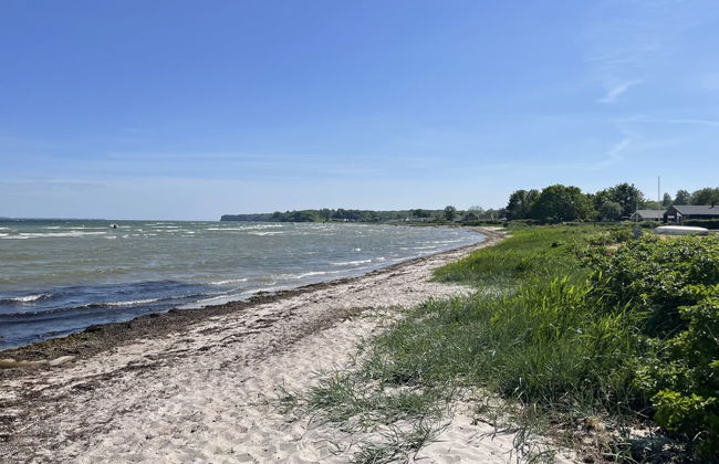 "Ely" - 300m from the sea - Foto 23