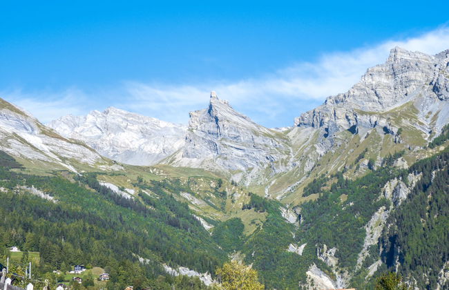 Ecureuil noir - Foto 20