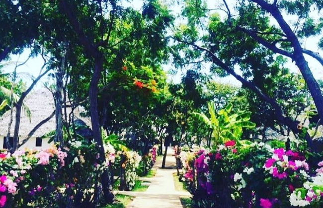 Casuarina Villas Resort - Foto 11