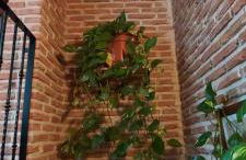 La Casa del Marqués - Foto 62