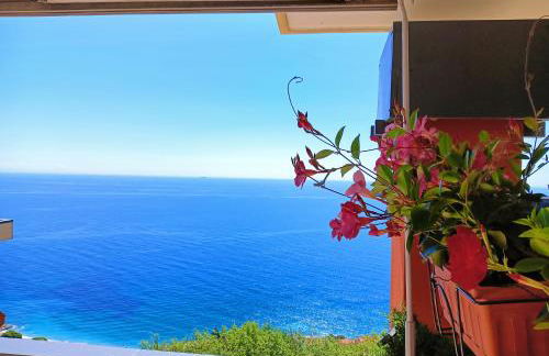 La Sundevilla - Foto 1