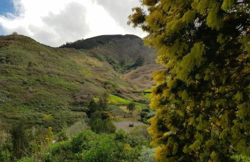 Cuevas De Barreto - Foto 53