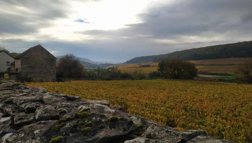 Le Clos du Château - Foto 2