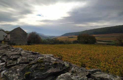 Le Clos du Château - Foto 2