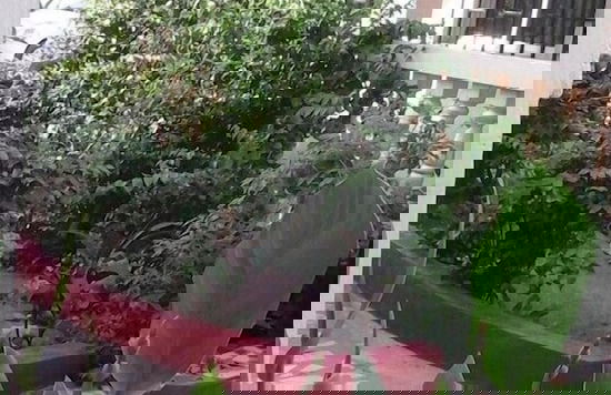 lilis Apartments - Foto 11