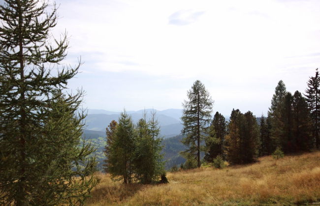 Chalet Amsel - Photo 22