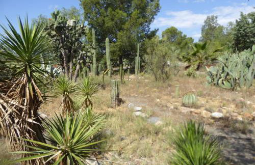 Casa SolyVida Tabernas - Foto 31