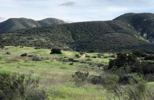 San Diego Stay, Pool, Gym, Near Zoo, Petco Park & SeaWorld - Photo 28