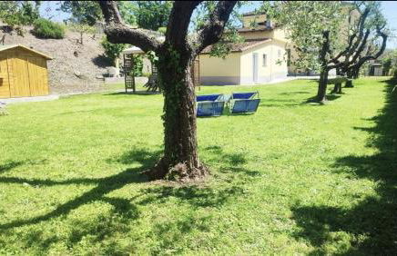 Voglio Vivere Così - Photo 4