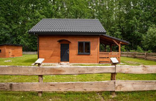 Groszkówka - Foto 10