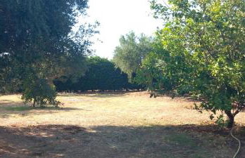 APARTMENT Sonia - Photo 14