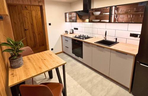 Beskidy Basement Studio - Foto 4