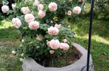 Magdalini Studio - Foto 37