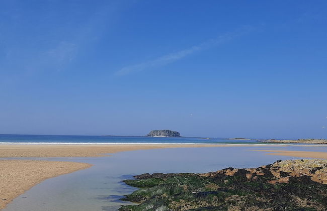 Cherrytreecottage - Cosy 19thcentury/pet Friendly - Foto 35