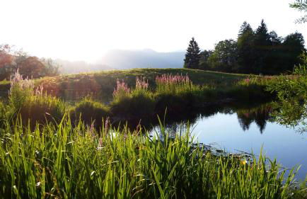 Landhaus Schmid - Photo 37