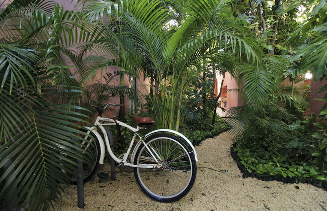 Mi Querido Tulum Apartamentos - Photo 20