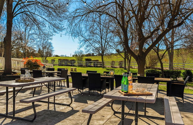 Victorian Manor In Paso Robles Wine Country + Pool, Hot Tub, Firepit, Tennis Court Sleeps 28 - Photo 25