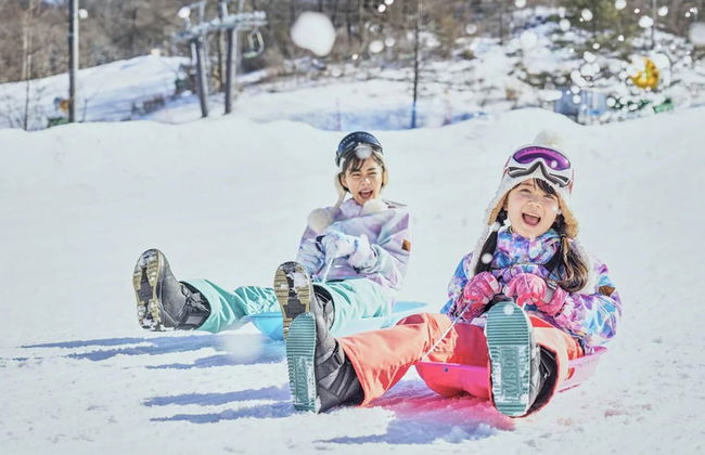 The Prince Villa Karuizawa - Foto 61