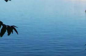 Apartman Legac - Foto 53