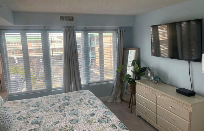 THE Opal S303 - Foto 3