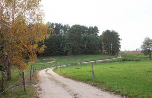 Maly Domek Zalesie - Foto 9