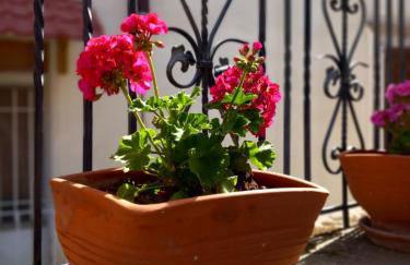 Ignatia's house - Photo 16