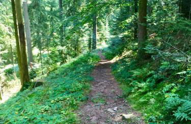 Blackforest Apartment - Foto 42