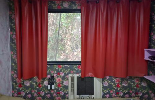 Barco Casa Pantanal Toca da Onça - Photo 21