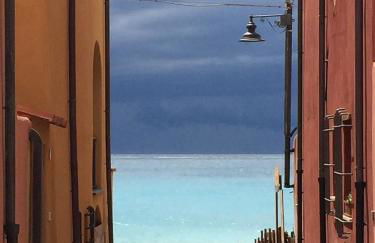 Les Agrumes - Foto 16