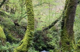 Casa Sindo - Foto 45