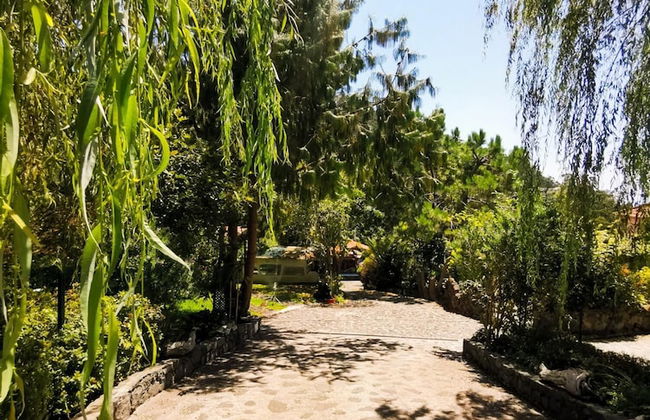 Casas Maravilha - Rvore by Homie - Foto 18