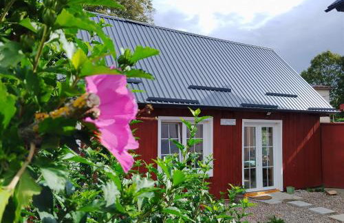 Three Little Birds Artists Residence - Foto 2