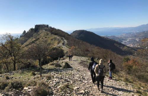 La Calla Rossa - Foto 20
