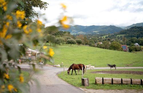 Ruhbauernhof - Foto 18