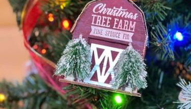 * 3 Master BR, Views, Theater, Arcade, Pinball - Foto 5