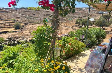Lemon houses - Faros, Sifnos - Foto 37