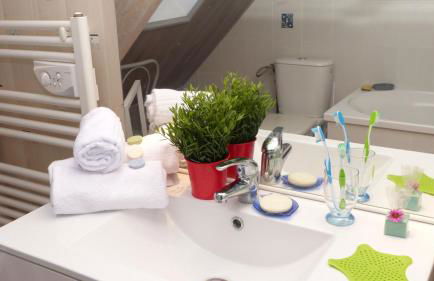 Les Courlis, maison de vacances proche des plages - Foto 29