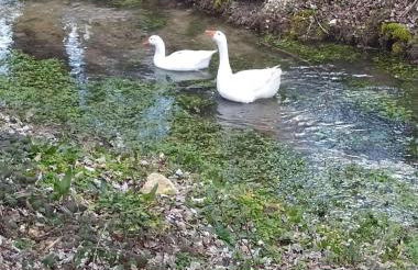 Casa del Espliego - Foto 31