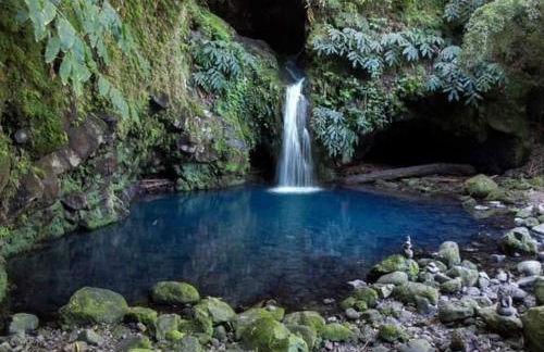 Norverde - Açores - Photo 31