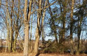 HOME4GOLF Uttlau - Foto 37